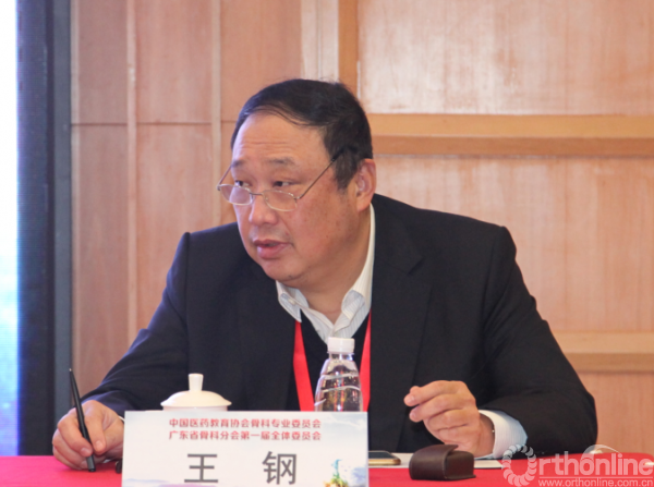 8 王钢教授出席会议.png