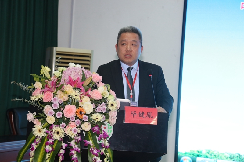 5毕健胤总监_副本.jpg