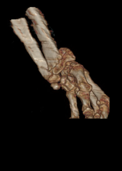 图片10 - 副本.png