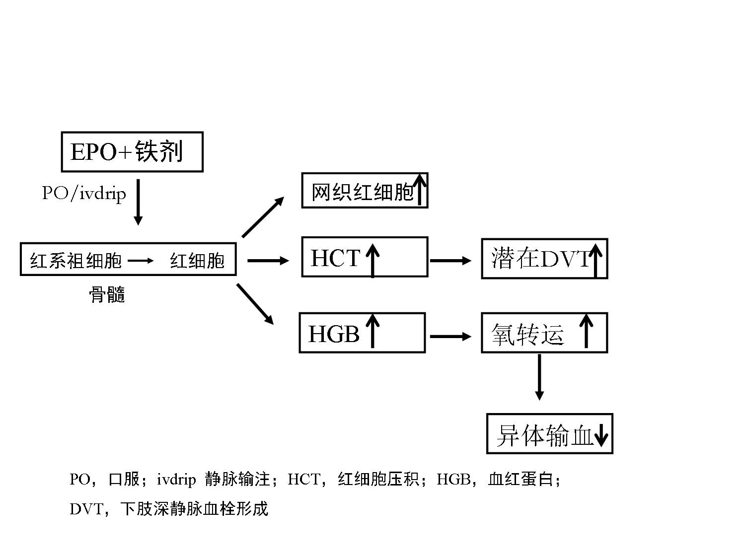 北京协和医院骨科血液管理的经验与成果 | 会议中心