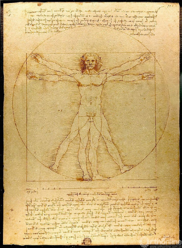 800px-Da_Vinci_Vitruve_Luc_Viatour.jpg