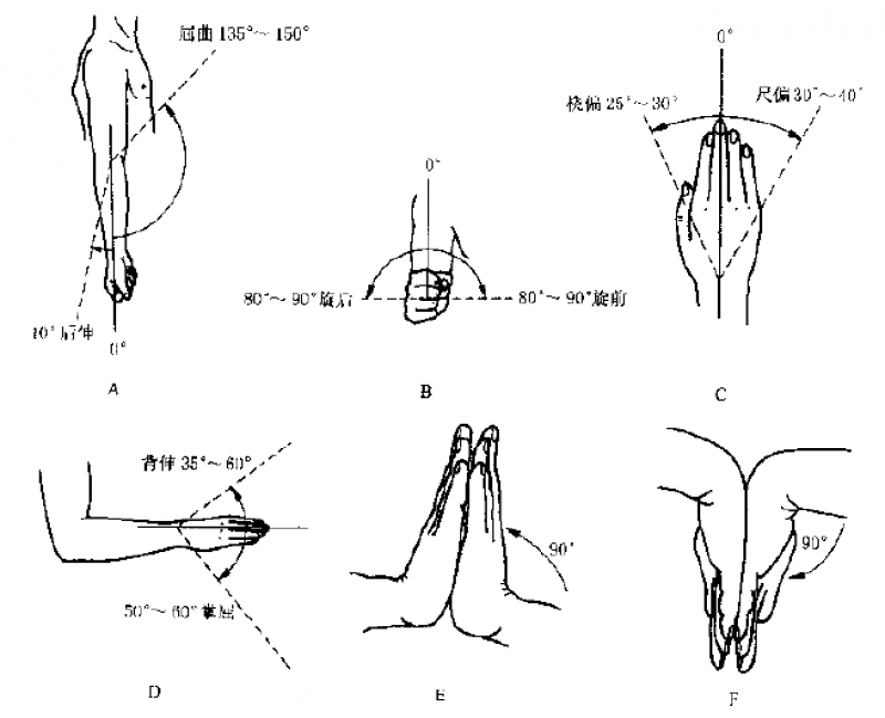 桡偏 25-30°尺偏 30-40°强力掌屈 90°强力背屈 90°掌屈 50