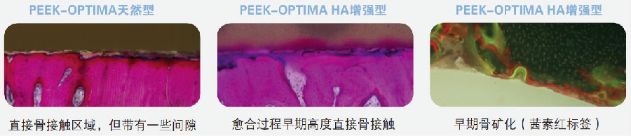 图3.png