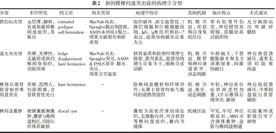 腰椎间盘突出症的病理学分型及其临床意义