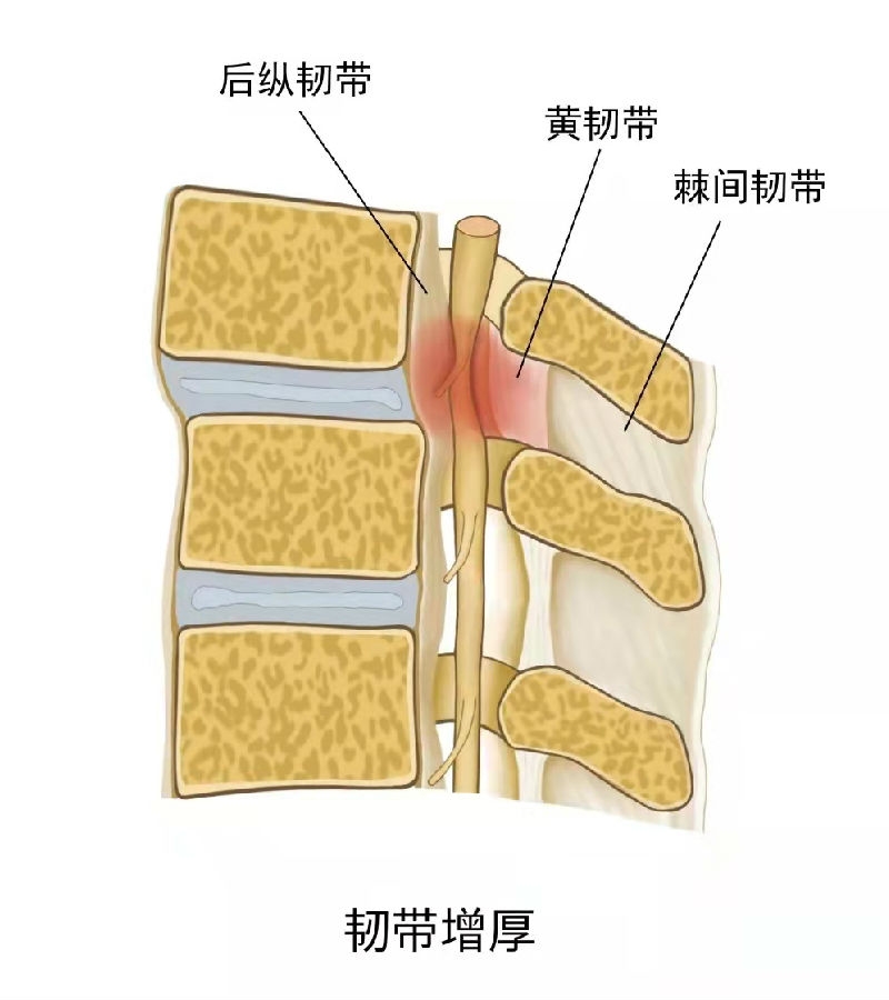 微信图片_202204081539561.jpg
